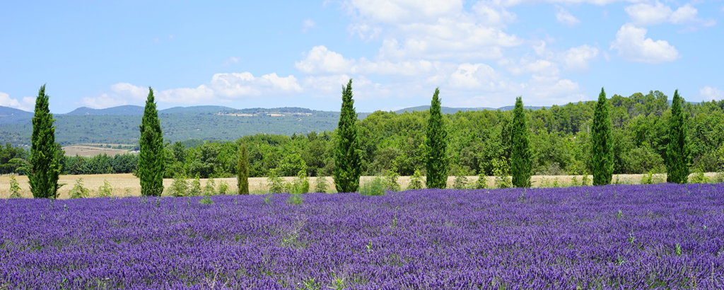 Provence_5