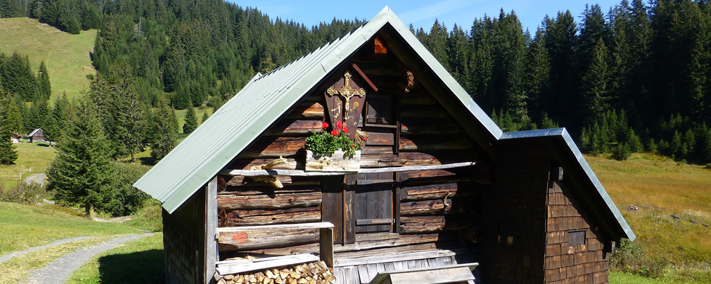 Algaeu_16