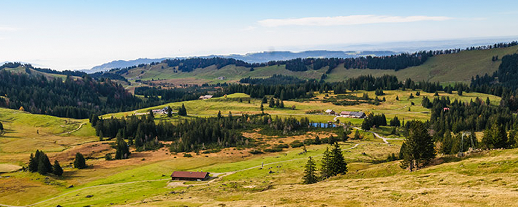Algaeu_4