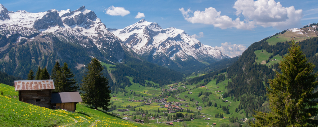 Lenk_10