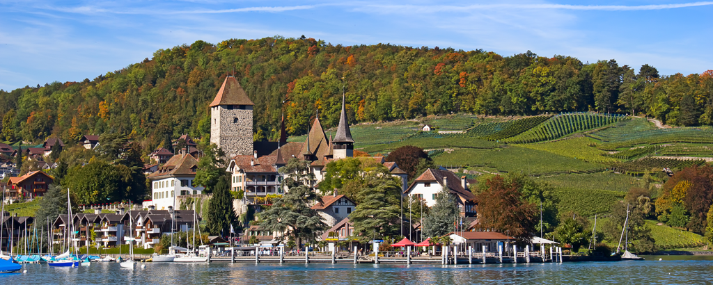Lenk_2
