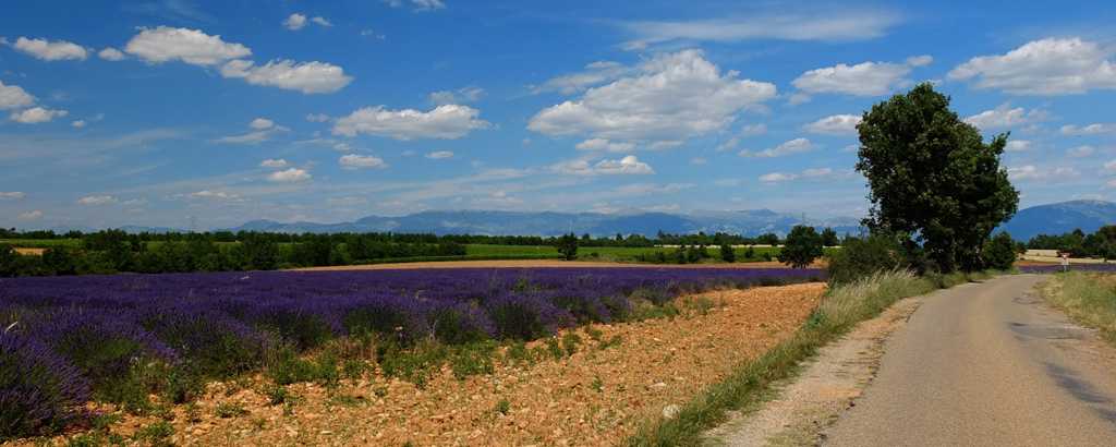 Veloreise_Provence_8
