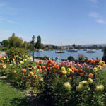 Dahlienfest Morges