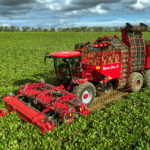 Terra Variant italienisch