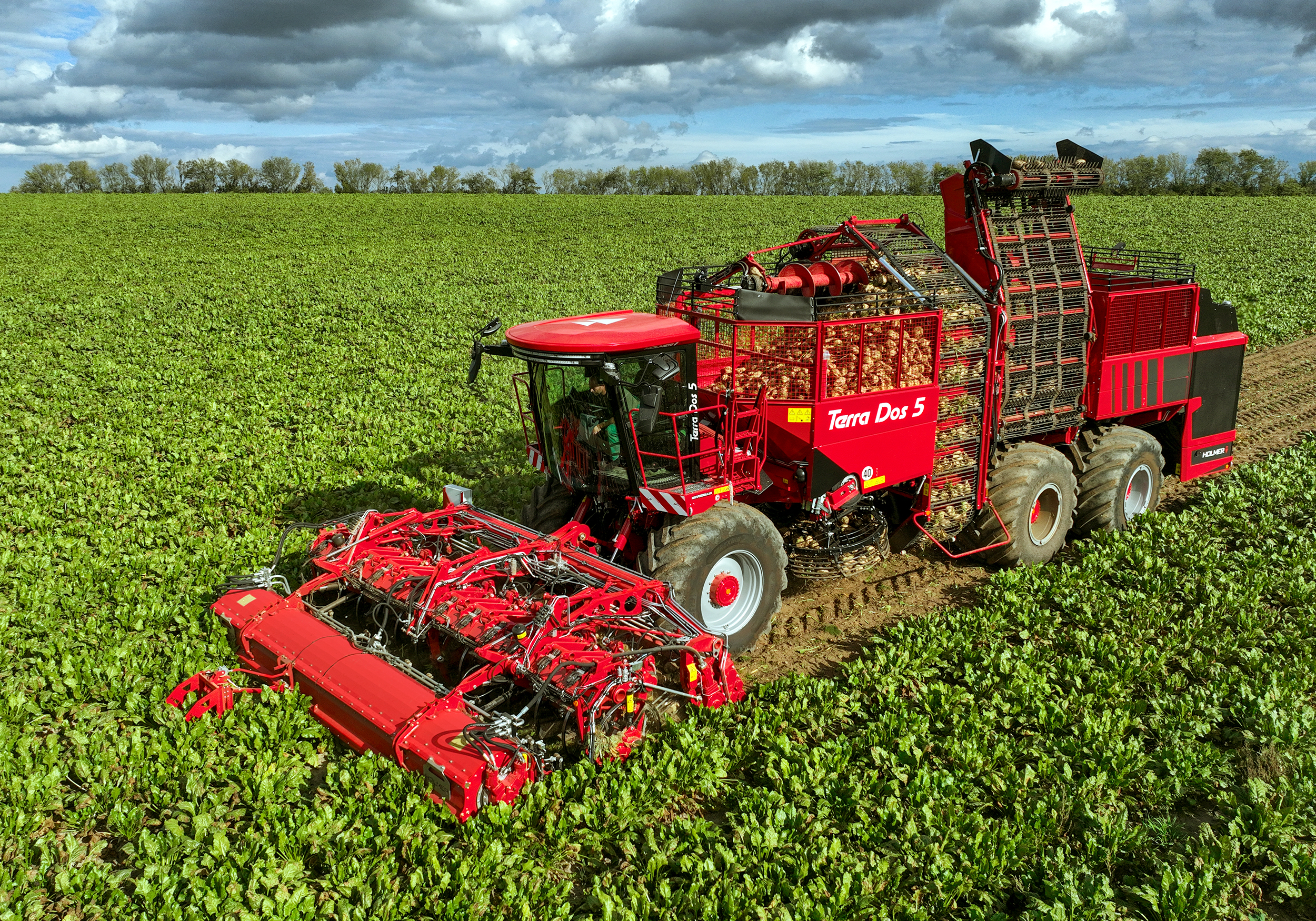 Terra Variant italienisch