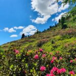 Hauptbild