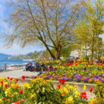 Frühling in Überlingen am Bodensee