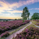 Hauptbild