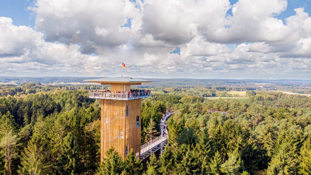 2020_02_21_BWP-3-scaled