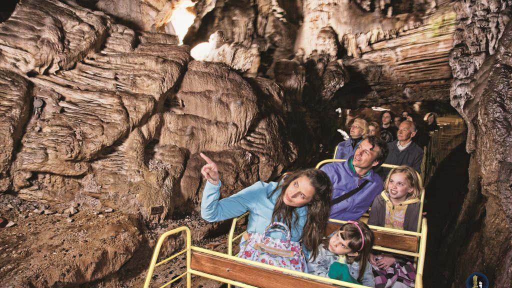 Adelsberger Grotten Train 1 11662_Dragan Arrigler)