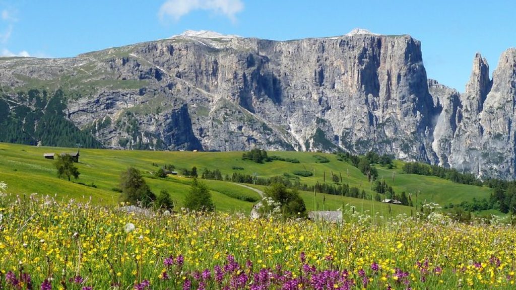 B_RS85492_0964-blumenwiese-fruehling-seiser-alm-und-schlern