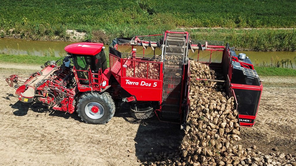 Terra Variant italienisch