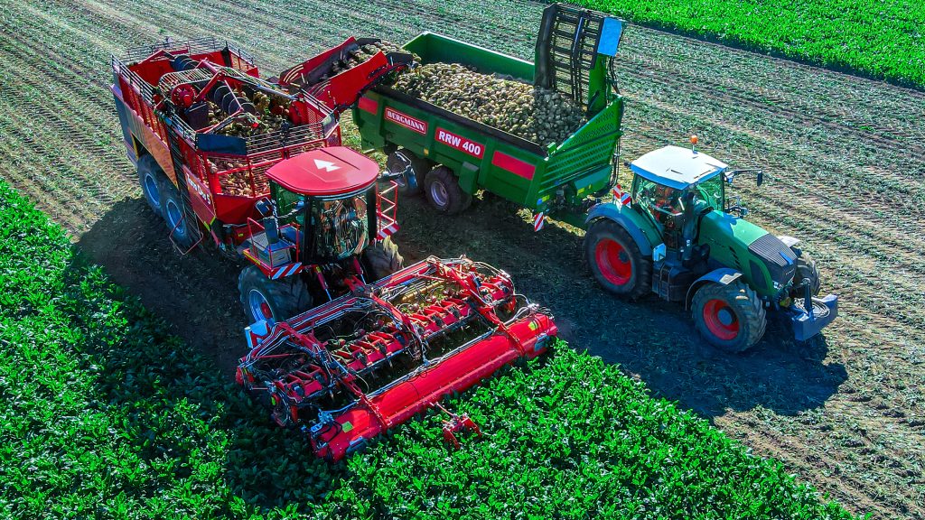 Terra Variant italienisch