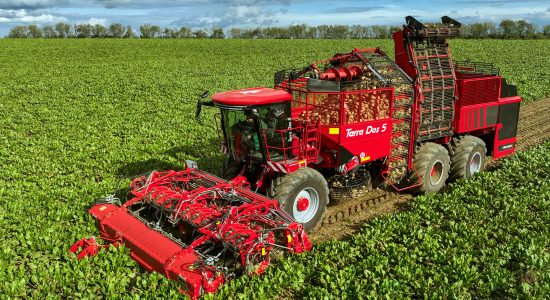 Terra Variant italienisch