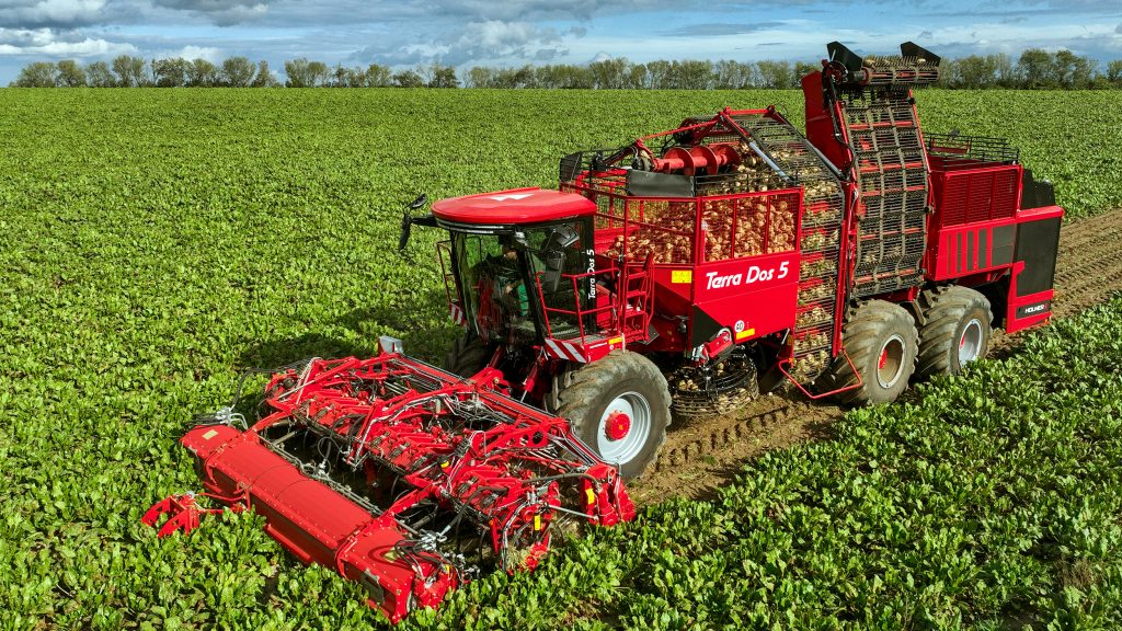 Terra Variant italienisch