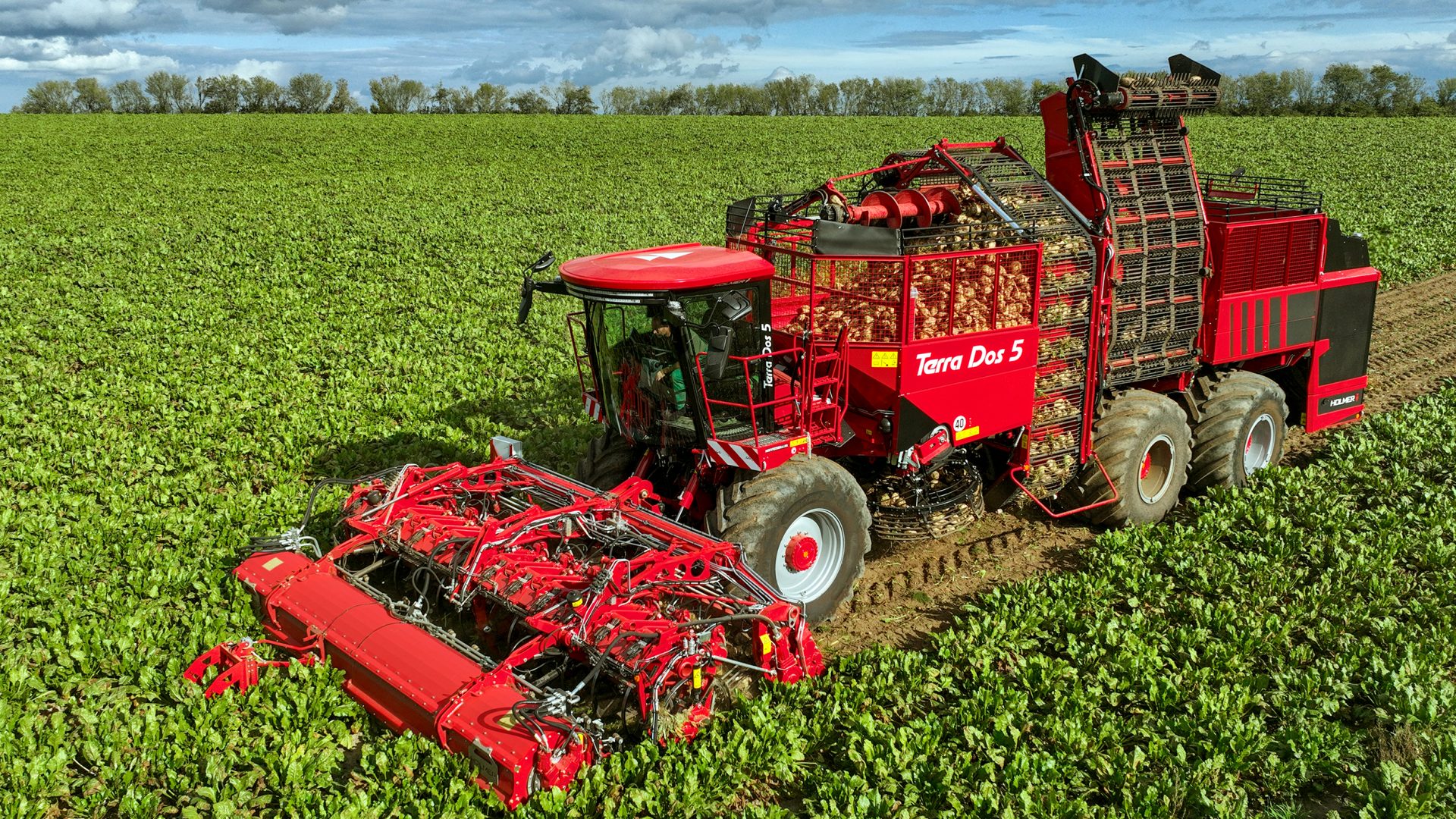 Terra Variant italienisch