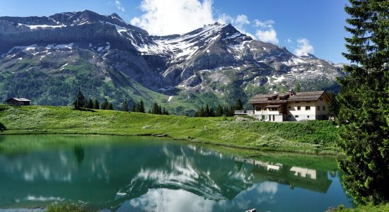 Hauptbild