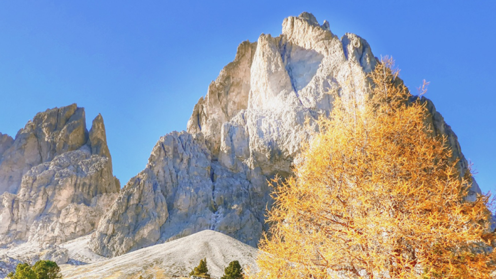 Herbstfeste_Suedtirol_11