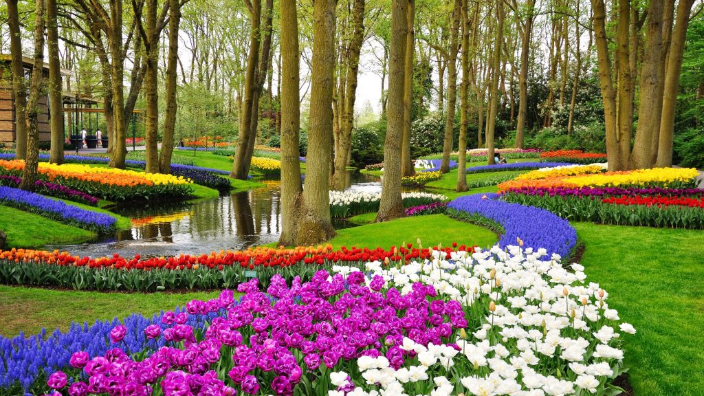 Holland Keukenhof shutter
