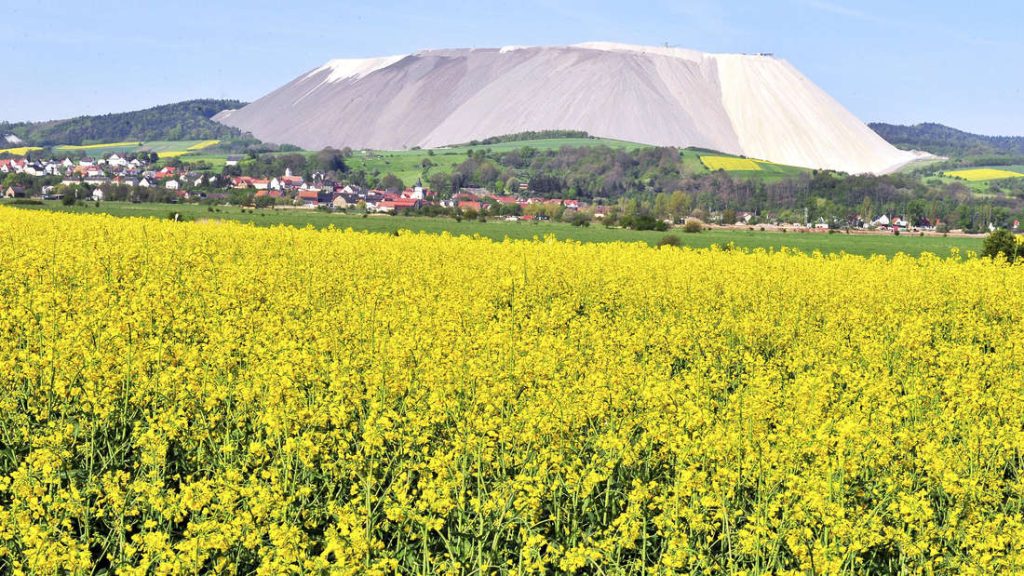 Monte Kali