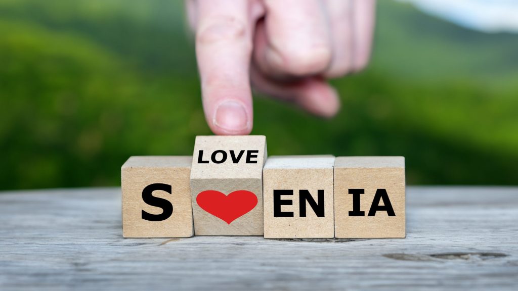 Wooden cubes form the word 'Slovenia'.