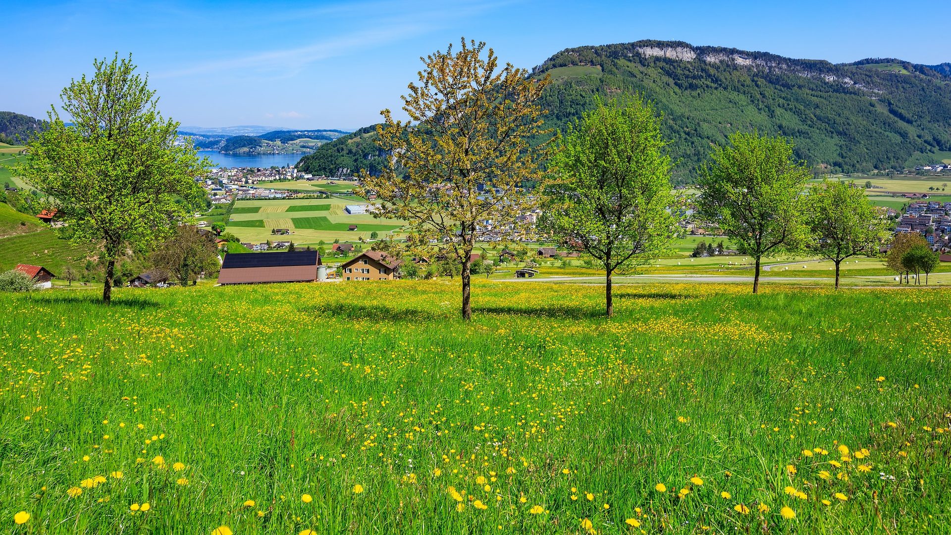 Sonntagsfahrt_Juni