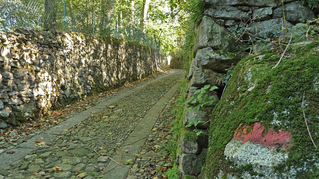 Stresa-Belgirate-il-sentiero-dei-castagni