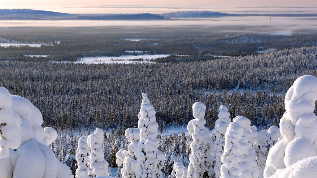 Syöte_Nationalpark_Winter scenery_Lapland