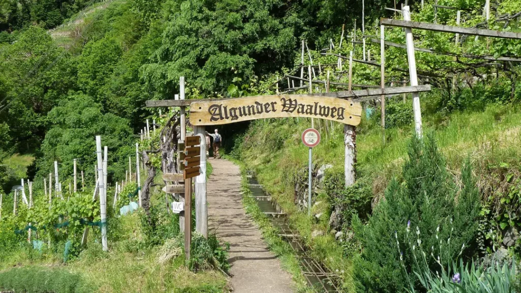 X-8037-algunder-waalweg