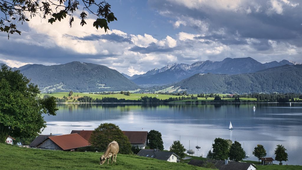 allgau-6654353_1920 (1)