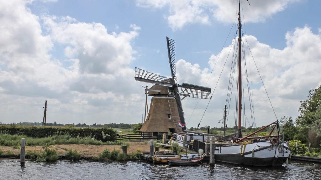 cotton-swift-1423493