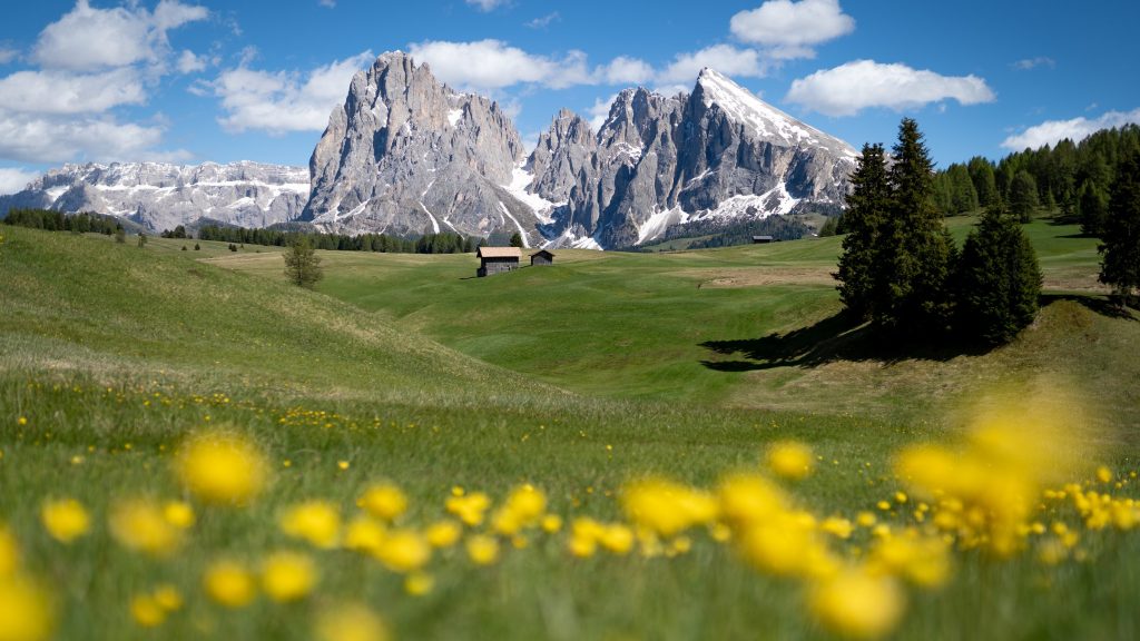 csm_Seiser_Alm_8ce95789cb