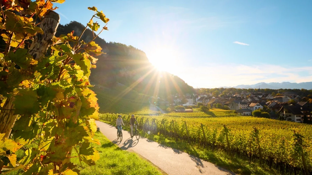fahrradfahren-heidiland-rheinwelten-weinberge-flaesch-buendner-herrschaft-herbst