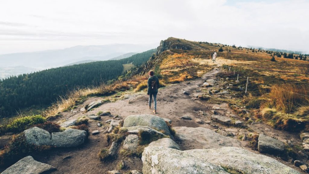gazon-faing-massif-vosges-max-coquard-best-jobers-890x593