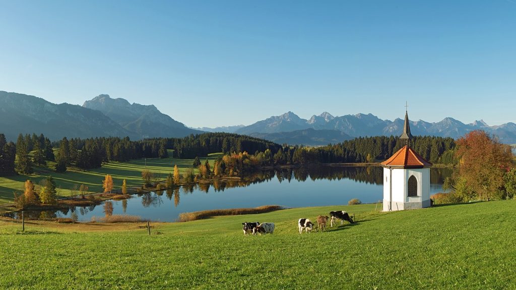 landscape-3989515_1920 (2)