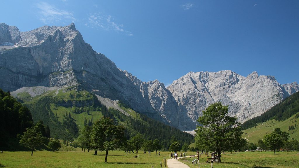 large-maple-back-1100121_1920