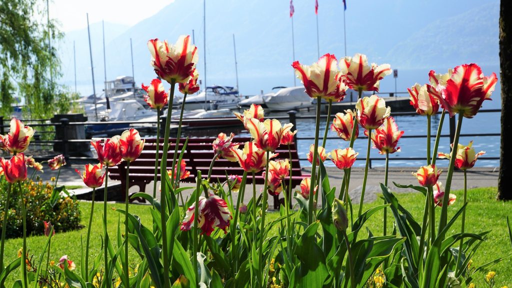 locarno-3570307_1920