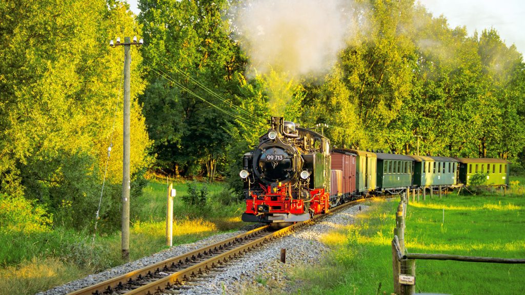 Auf der fahrt nach Radeburg Traditionslok 99 713 und eine Regelzug der L§nitzgrundbahn.
