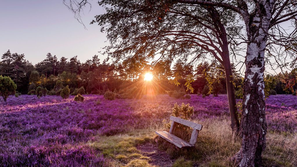 lueneburger_heide_header