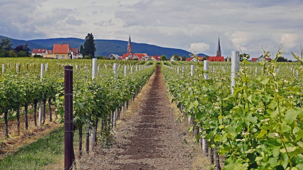 palatinate-2366469_1920