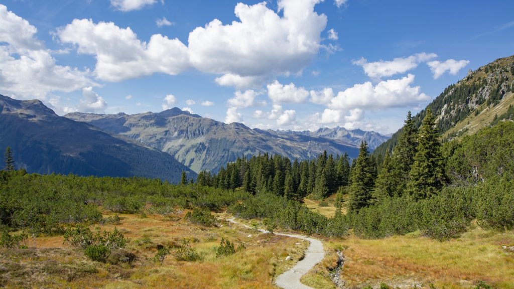 parties-4046603_1920