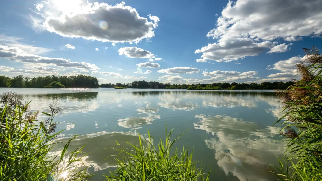 sonnenschein-an-den-meissendorfer-teichen