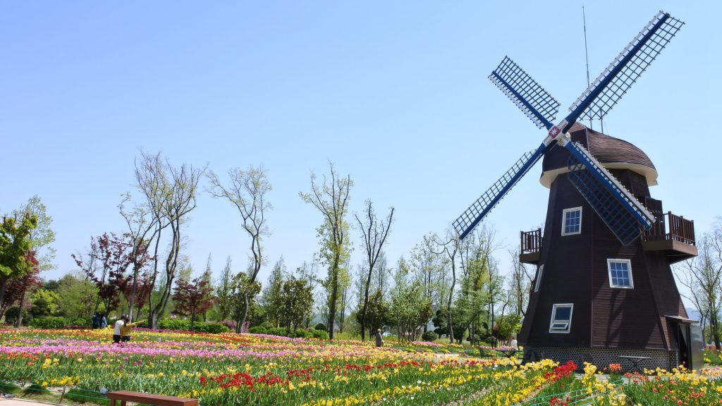 suncheon-bay-2584535