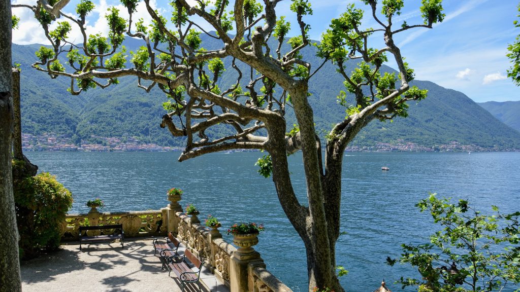 the-needle-3718035_1920