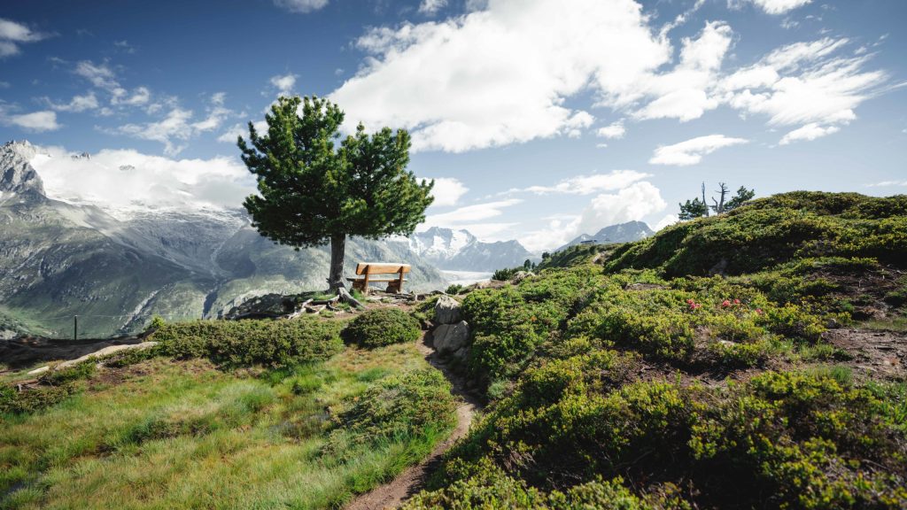 Videodreh Riederfurka