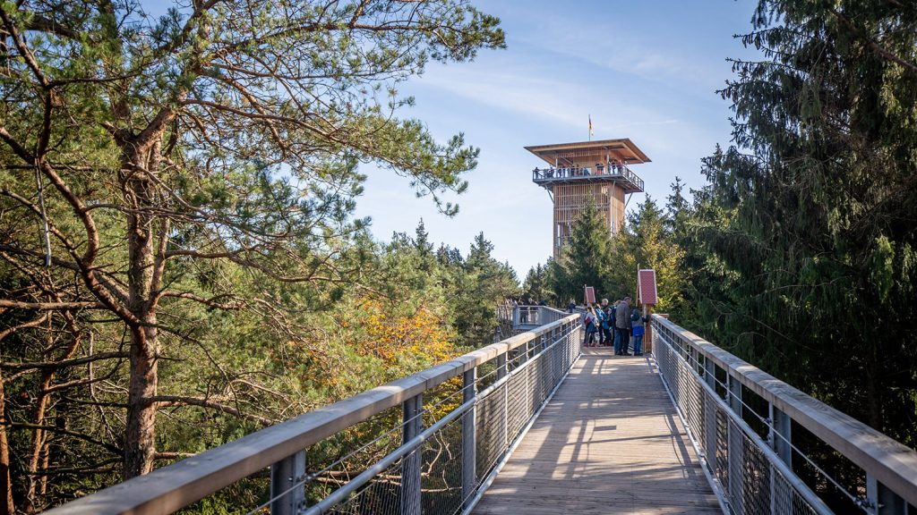 wildpark-lueneburger-heide-und-baumwipfelpfad-heide-himmel